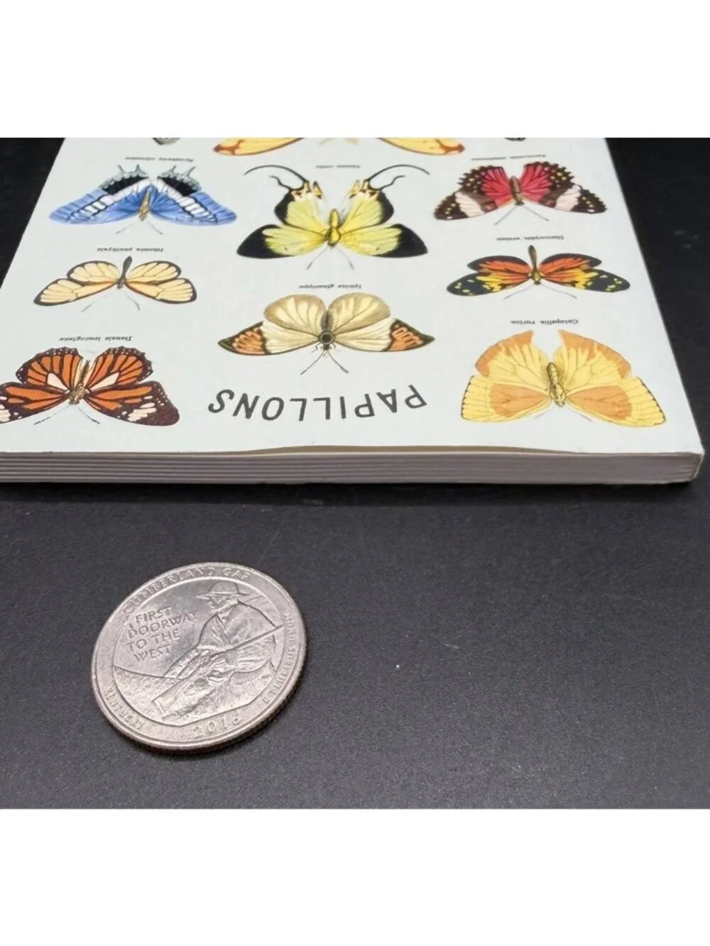 Cavallini & Co Butterflies Papillons Unlined Blank Journal Stationery USA